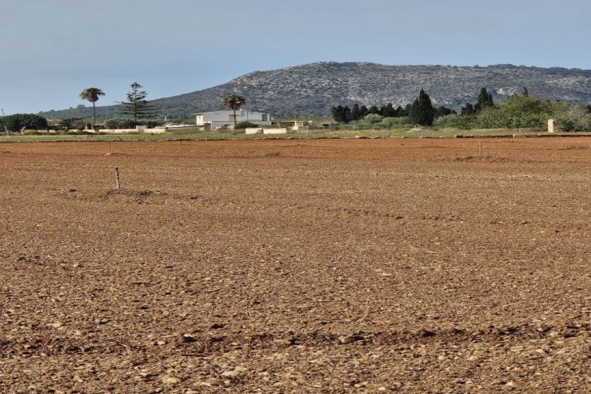 Venta Casas Rústicas Llubí