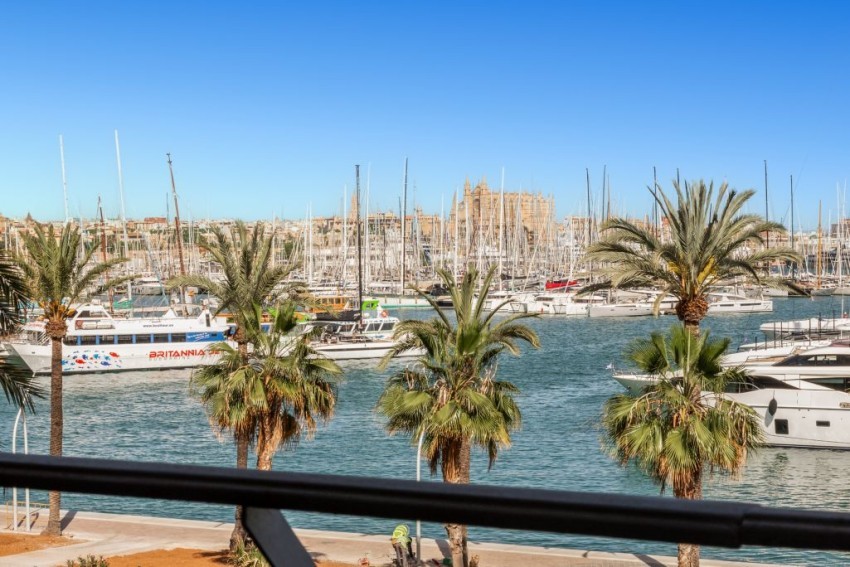 Venta Pisos Palma