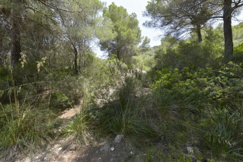 Venta Casas Rústicas Canyamel