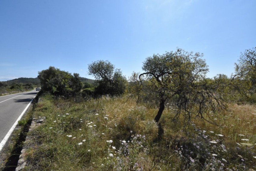 Venta Casas Rústicas Canyamel