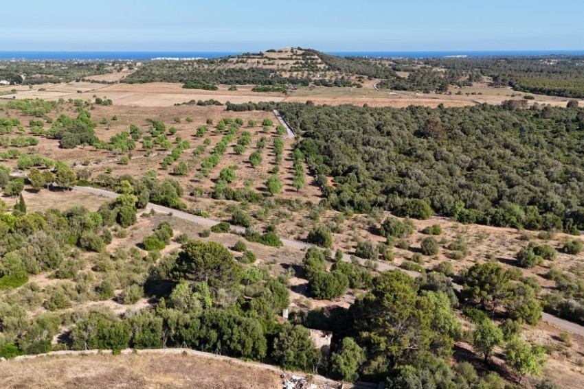 Venta Casas Rústicas Sant Llorenç des Cardassar