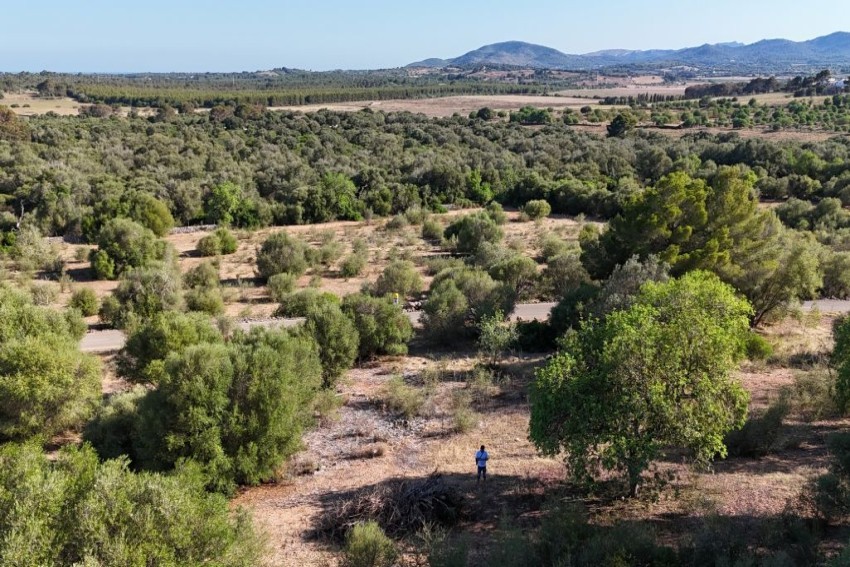 Venta Casas Rústicas Sant Llorenç des Cardassar