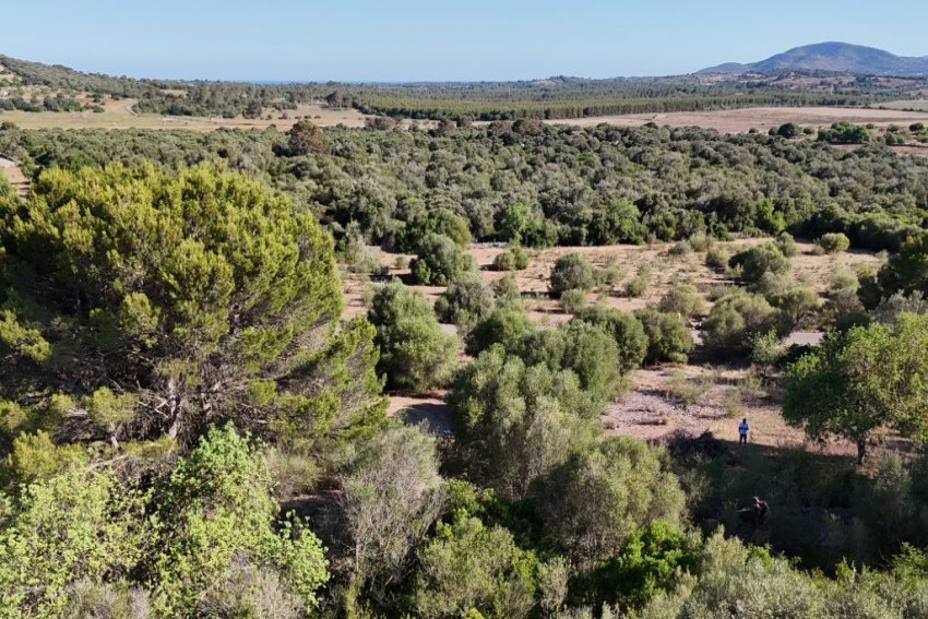 Venta Casas Rústicas Sant Llorenç des Cardassar
