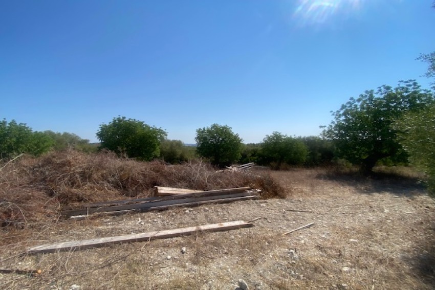Venta Casas Rústicas Manacor