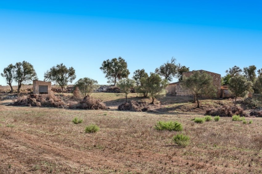 Venta Casas Rústicas Manacor