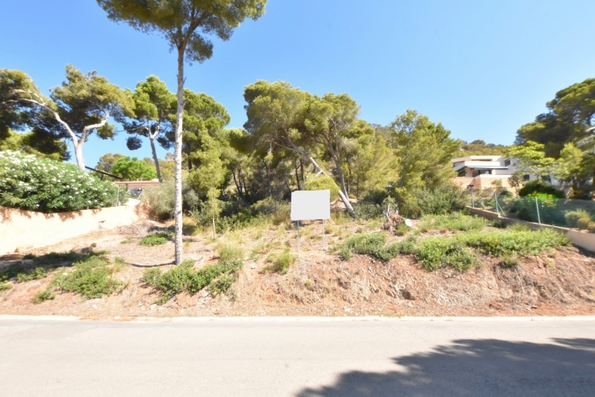 Venta Solares urbanos Costa de los Pinos