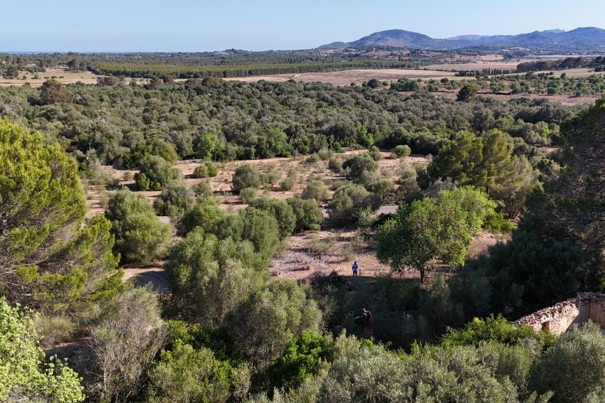 Venta Terrenos Sant Llorenç des Cardassar