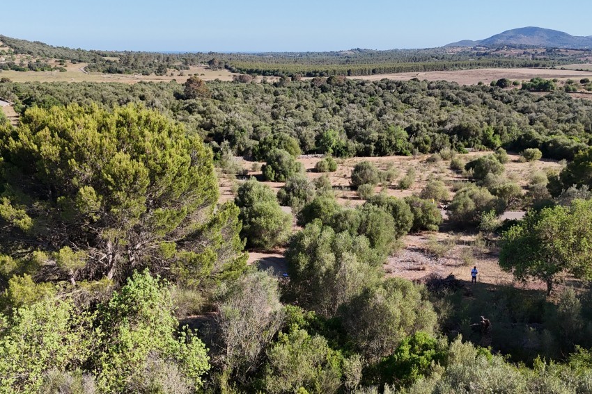 Venta Terrenos Sant Llorenç des Cardassar