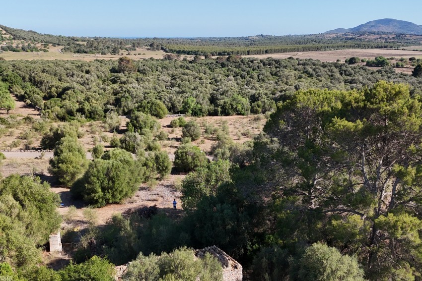 Venta Terrenos Sant Llorenç des Cardassar