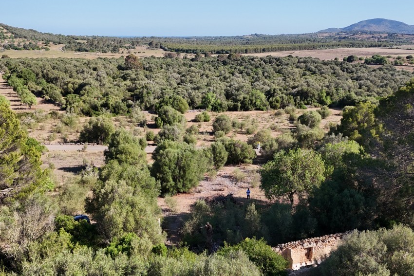 Venta Terrenos Sant Llorenç des Cardassar