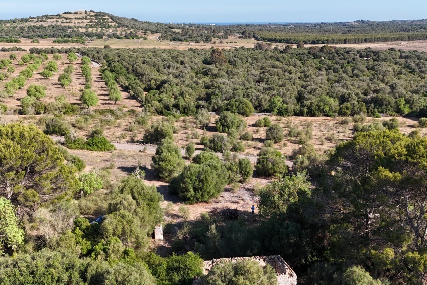 Venta Terrenos Sant Llorenç des Cardassar
