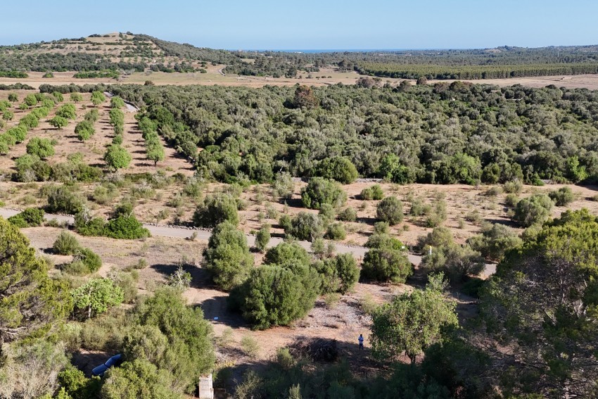 Venta Terrenos Sant Llorenç des Cardassar