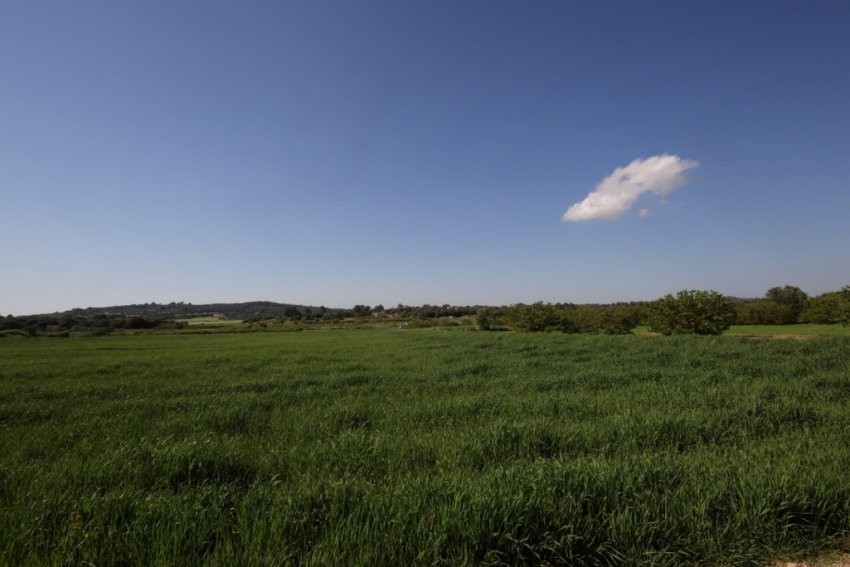 Venta Terrenos Porreres