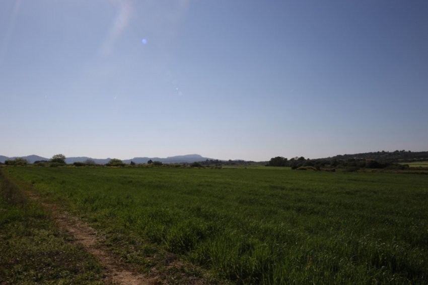 Venta Terrenos Porreres