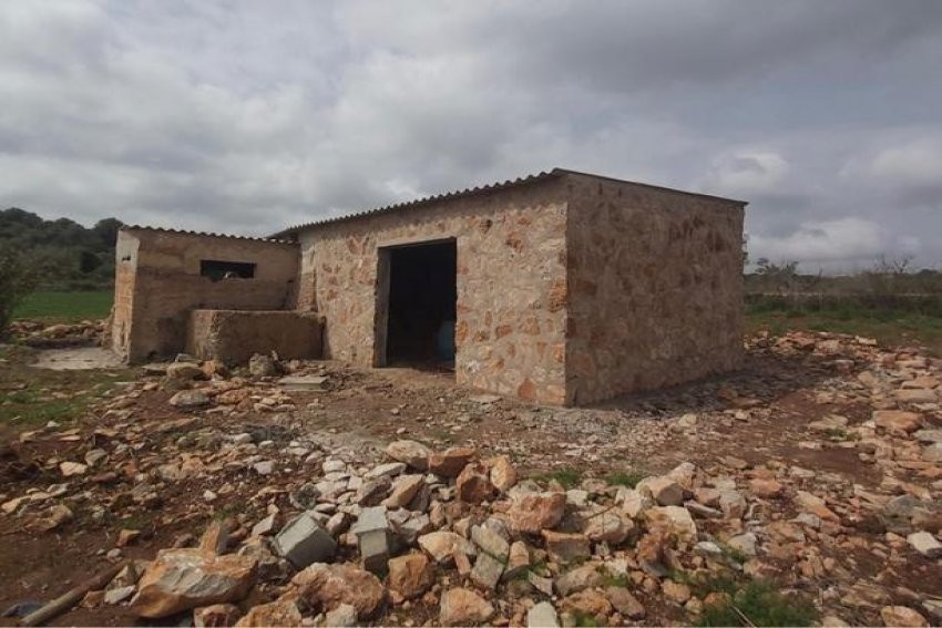 Venta Terrenos Son Servera