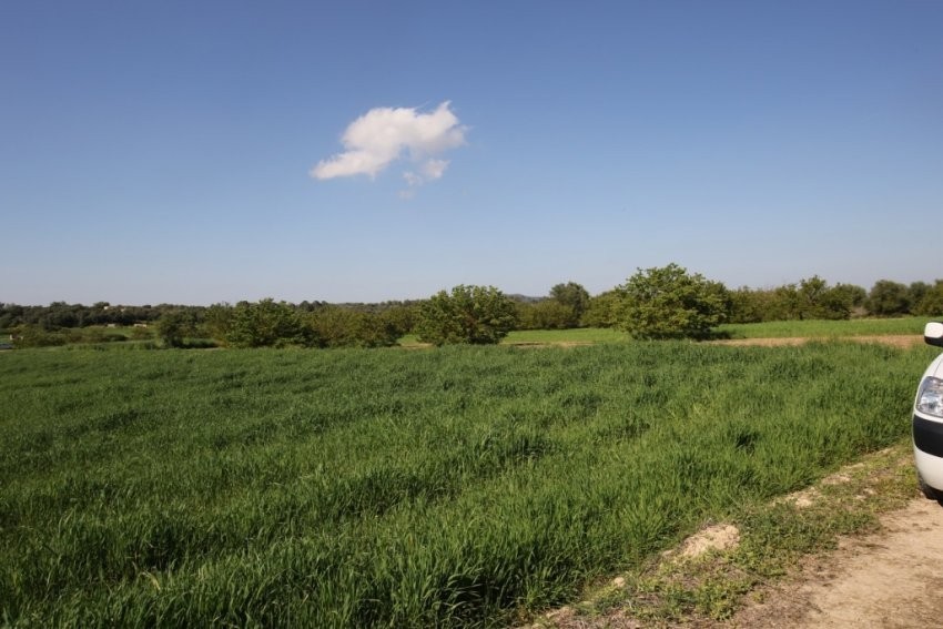 Venta Terrenos Porreres