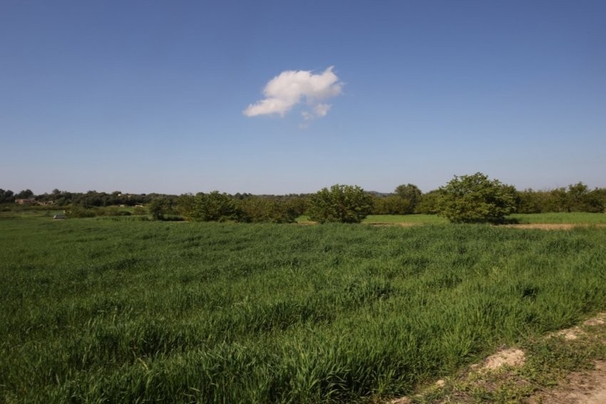 Venta Terrenos Porreres