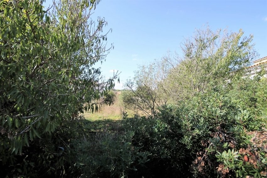 Venta Solares urbanos Vilafranca de Bonany