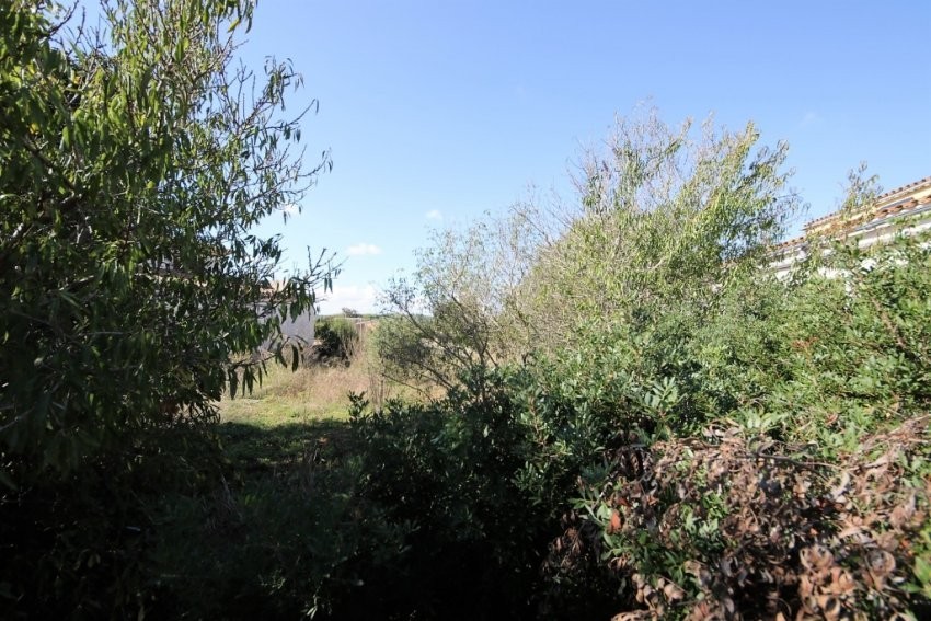 Venta Solares urbanos Vilafranca de Bonany