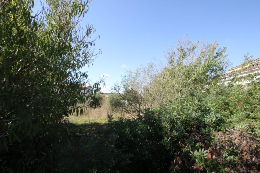 Venta Solares urbanos Vilafranca de Bonany