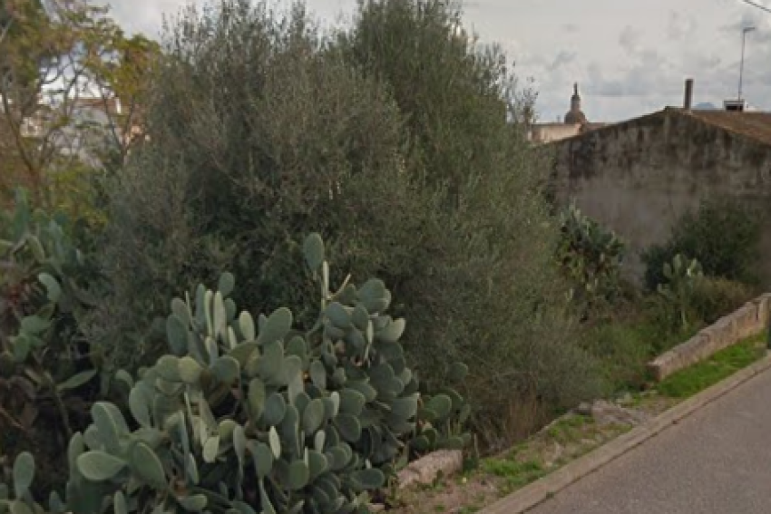 Venta Solares urbanos Vilafranca de Bonany