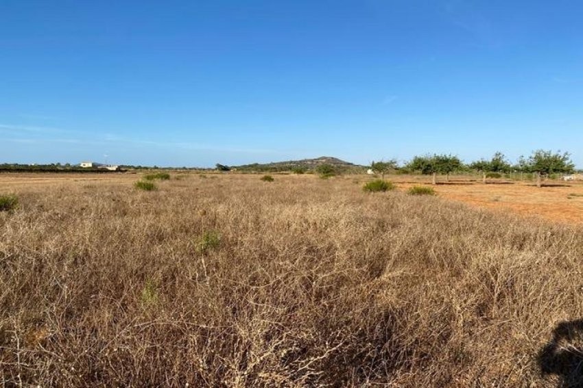 Venta Terrenos Porreres