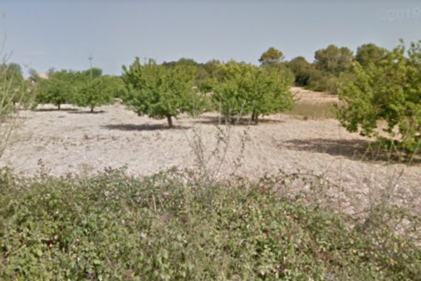 Venta Terrenos Porreres