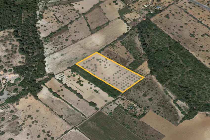 Venta Terrenos Porreres